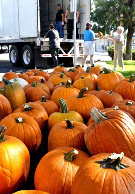 pumpkin delivery 2011